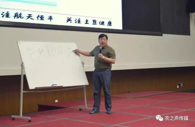11.webp.jpg
