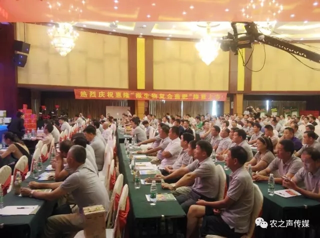 图片2.webp.jpg