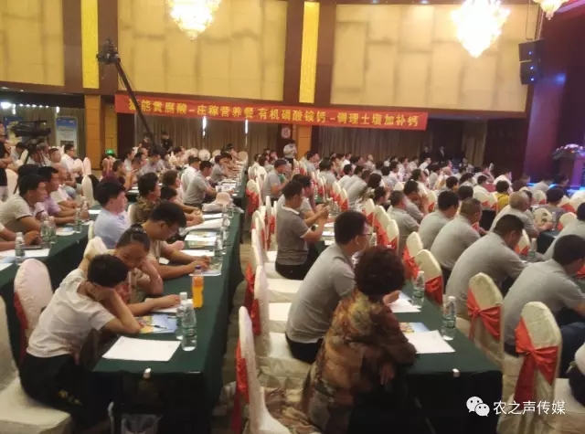 图片3.webp.jpg