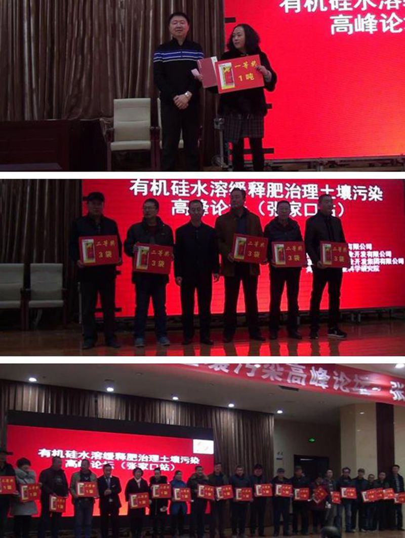 颁奖拼图_副本.jpg