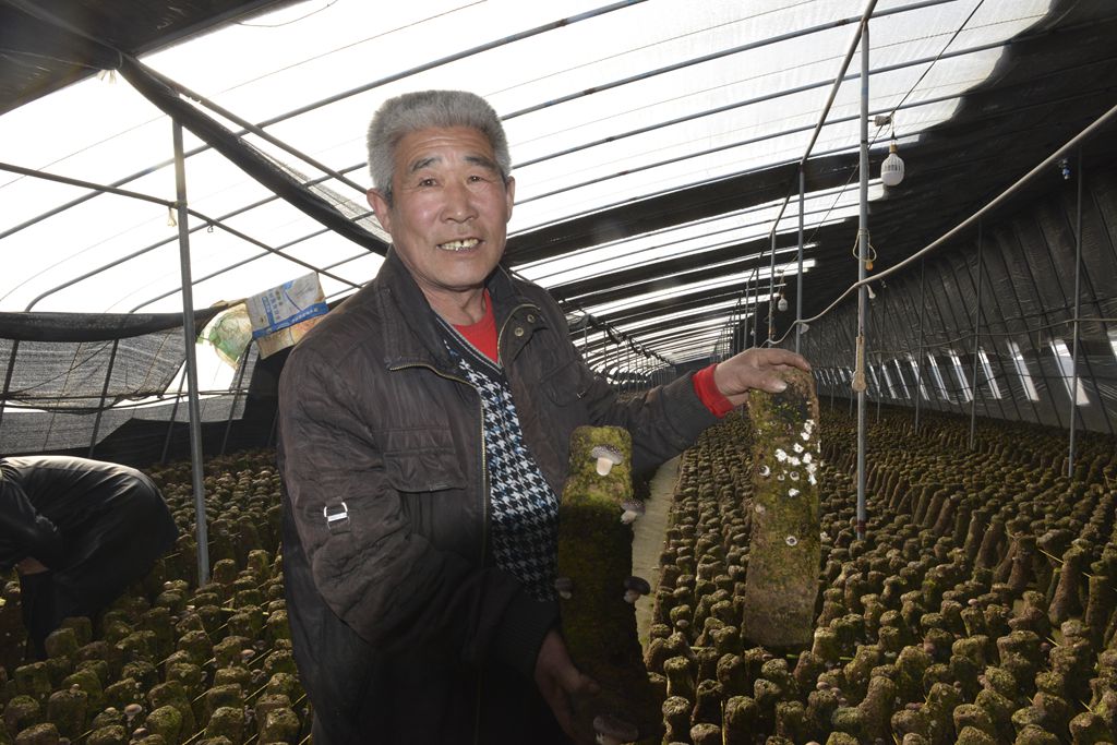 3、天津蓟州区西龙虎峪镇的大棚种植户高金泉_副本.jpg
