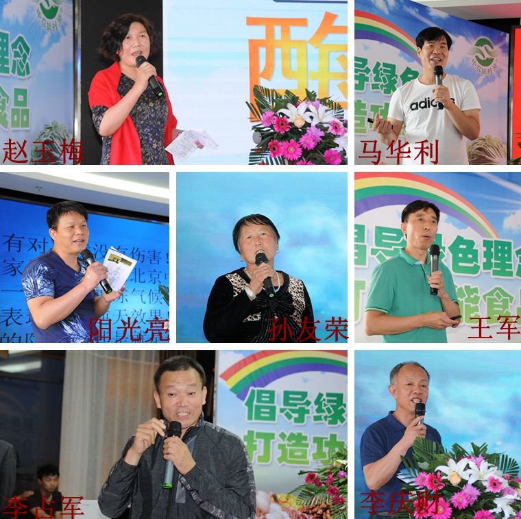 拼图_副本.jpg