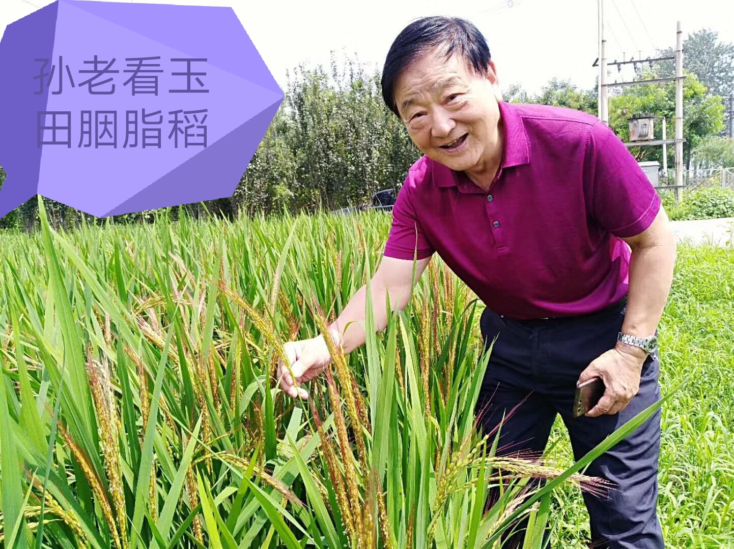 微信图片_20180815120049.jpg