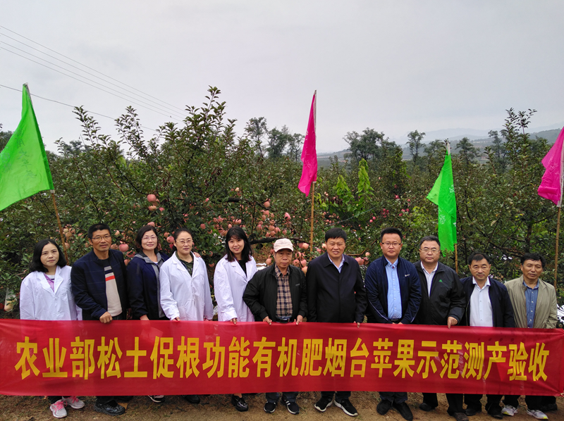 图片10.png