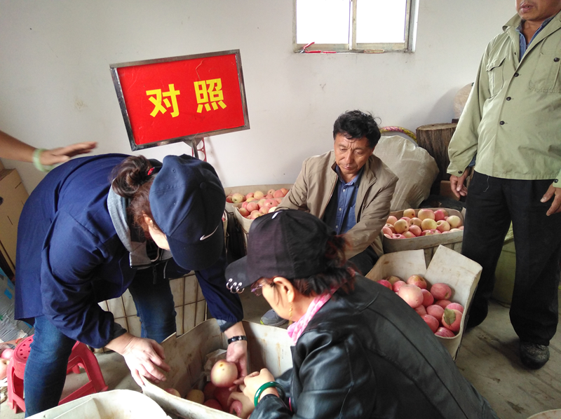 图片11.png