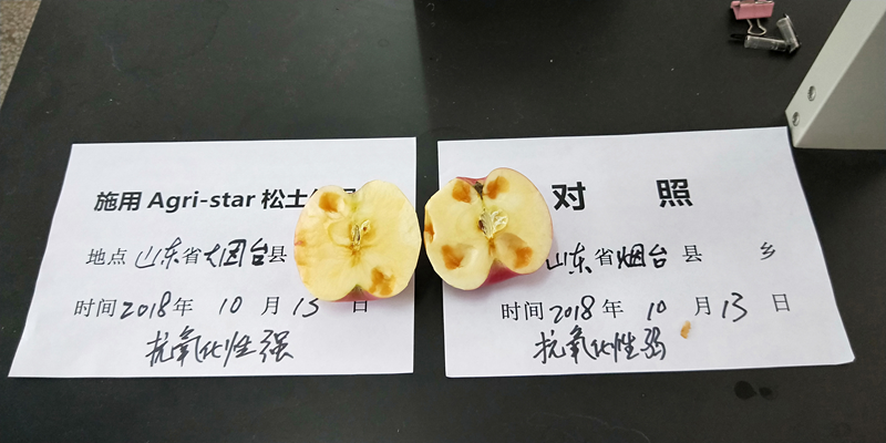 图片16.png